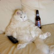 juicily - steam id 76561197961455245