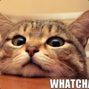 Dude_My_Items