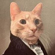 Hei, jeg er en katt