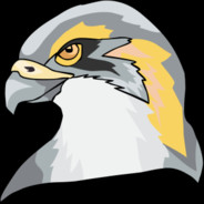 Hawk avatar