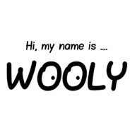 Wooly - steam id 76561197960731275