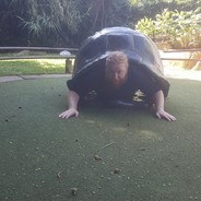 t.tv/turtsforhire