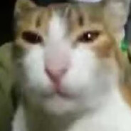 oleenort