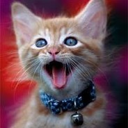 Loudmeowing