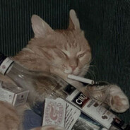 Steam profile avatar of highCat