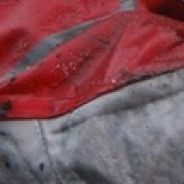 Bear's sexy jacket