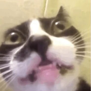 0_0
