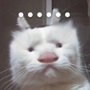 嘿嘿