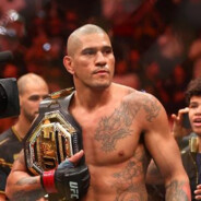 el matador