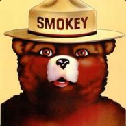 SMOKEY THE BEAR - steam id 76561197968115718