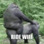 RIDEWIFE