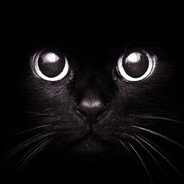 d4v1dz40_ 的 Steam 个人资料头像