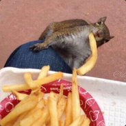 stffn - steam id 76561197961421796
