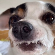 DoUKnowDa(BigChungus)Way