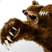 BEAR_PRO CSGONT.com