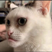 I don't know who I am