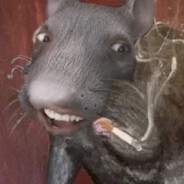 ANIMANSTUDIOS