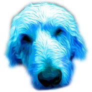 LeoTheDog's Avatar