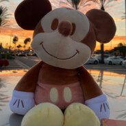 Mickey Tuscan  Mouse