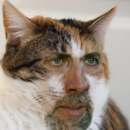 Meowdick