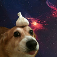 Dextez