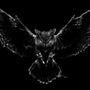 ♕ noFLY 💯 - steam id 76561197962123218