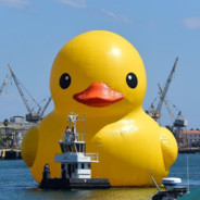 Quacks