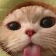 Vitaly csgocases_com