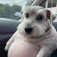 Steam profile avatar of XANAX