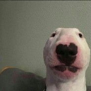 Borygo