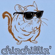 Chinchilla.'s Avatar