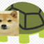 doge_the_epic_turtle