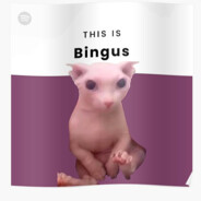 bingus gaming #SaveTF2