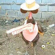 Razor2045