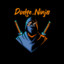 Dodge_Ninja