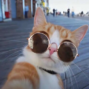 Steam profile avatar of Moran