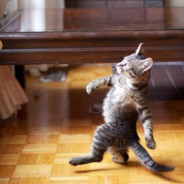 LIKE A BOSS
