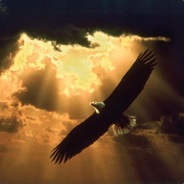 victoriouseagle