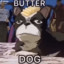 Butter Dog