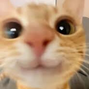 ✜