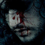 TheKingInTheNorth