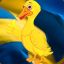 TheSwedishDuck