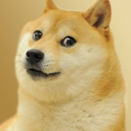 Hundehirn