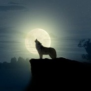 Moon_Dog 火