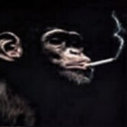 Monkey smoking a cigarette