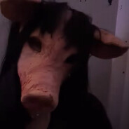 diEdveens