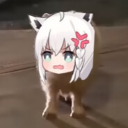 D R A C O ! ! !