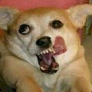 Kapo
