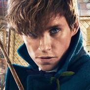 Sr. Newt Scamander
