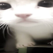 oioik.a